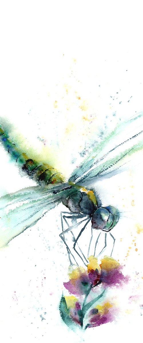 Green Dragonfly - Original watercolor painting by Olga Tchefranov (Shefranov)