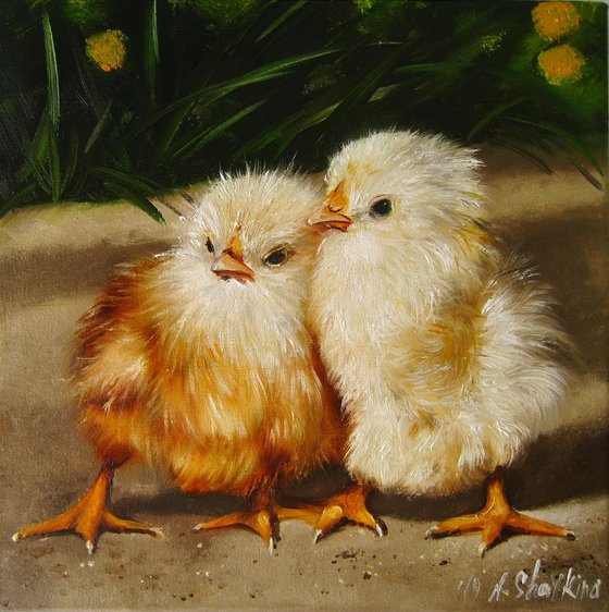 Two Fluffy Chicks