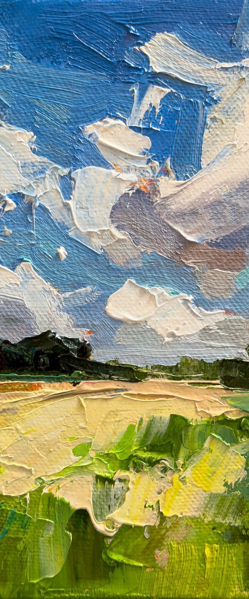 Fields Beneath the Wind by Daria Zavadenko