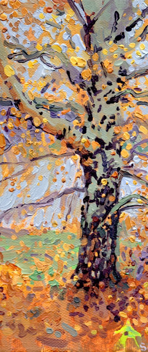 Golden Birch by Simon Kozhin