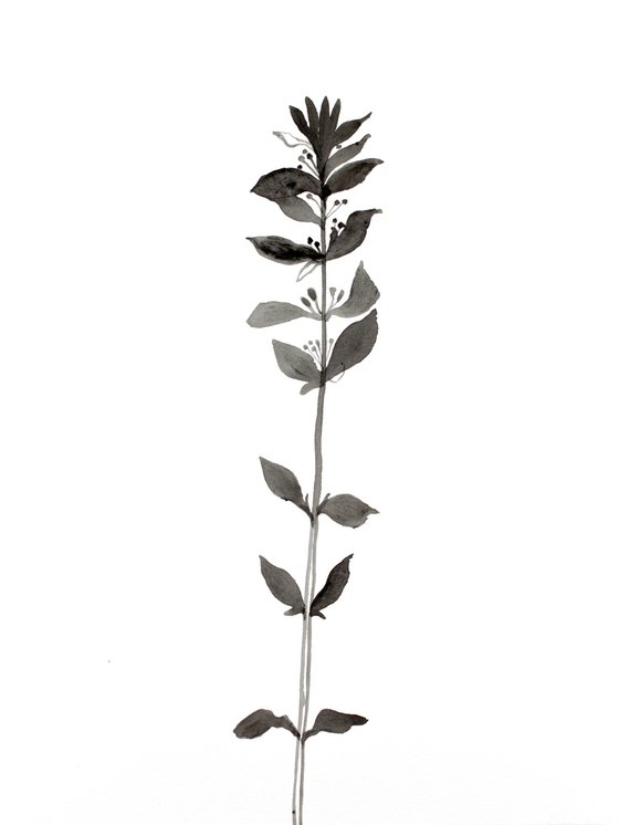 Plant Study No. 68