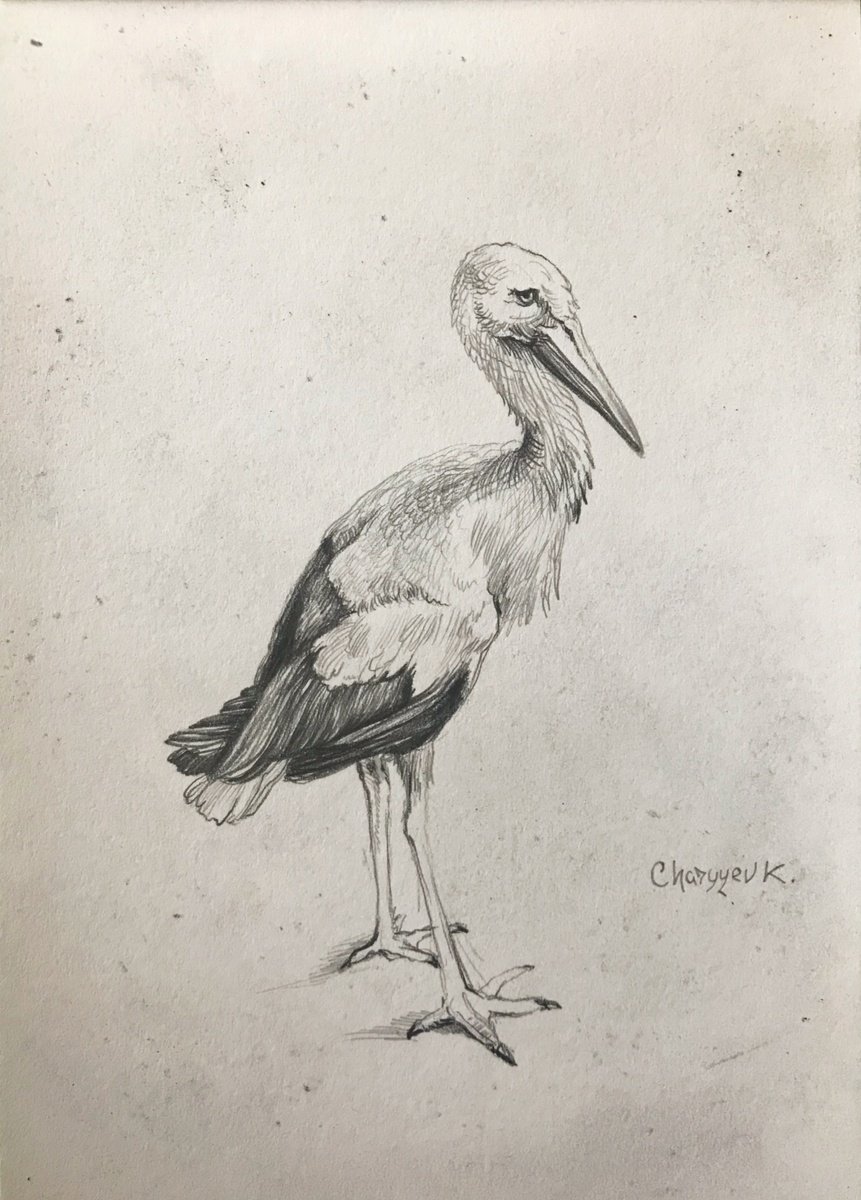 Stork by Kakajan Charyyev