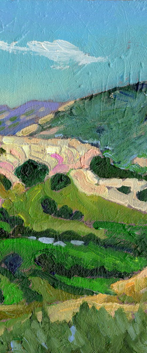 Summer Landscape Derbyshire by Mary Kemp