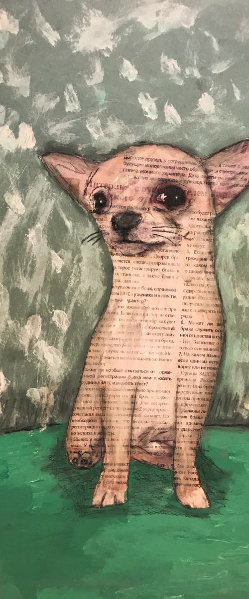 Smart chihuahua by Pavel Kuragin