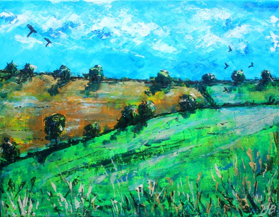 Hampshire Summer Fields