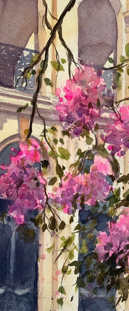 The last summer blossoms by Shelly Du