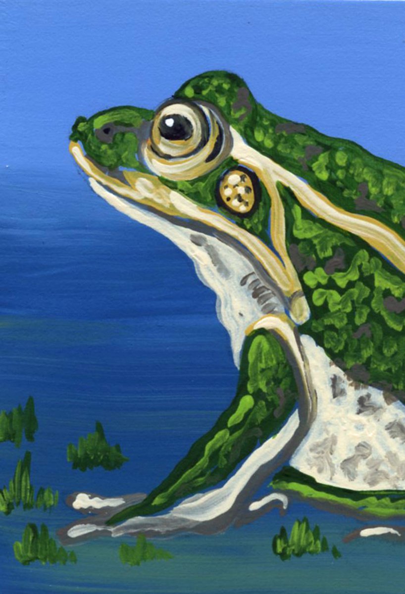 ACEO ATC Original Miniature Painting Green Amphibian Frog Wildlife Art-Carla Smale by carla smale
