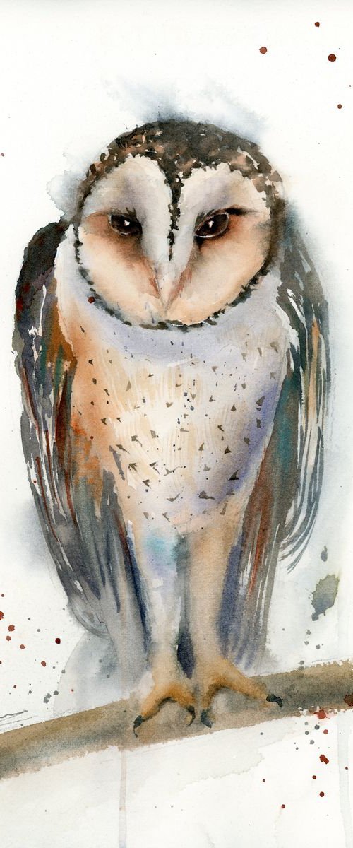 Barn OWL by Olga Tchefranov (Shefranov)