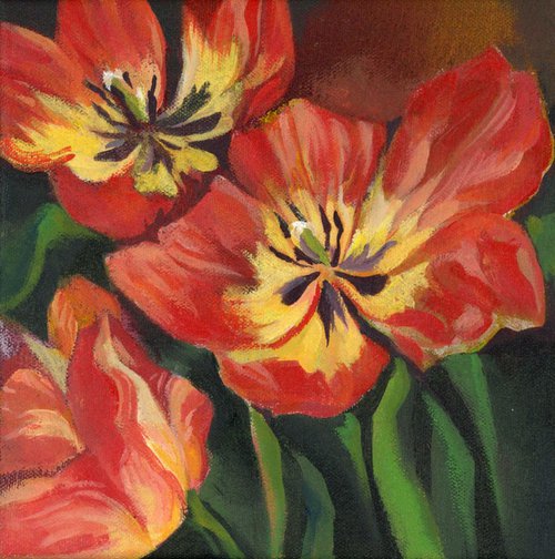red tulips by Alfred  Ng