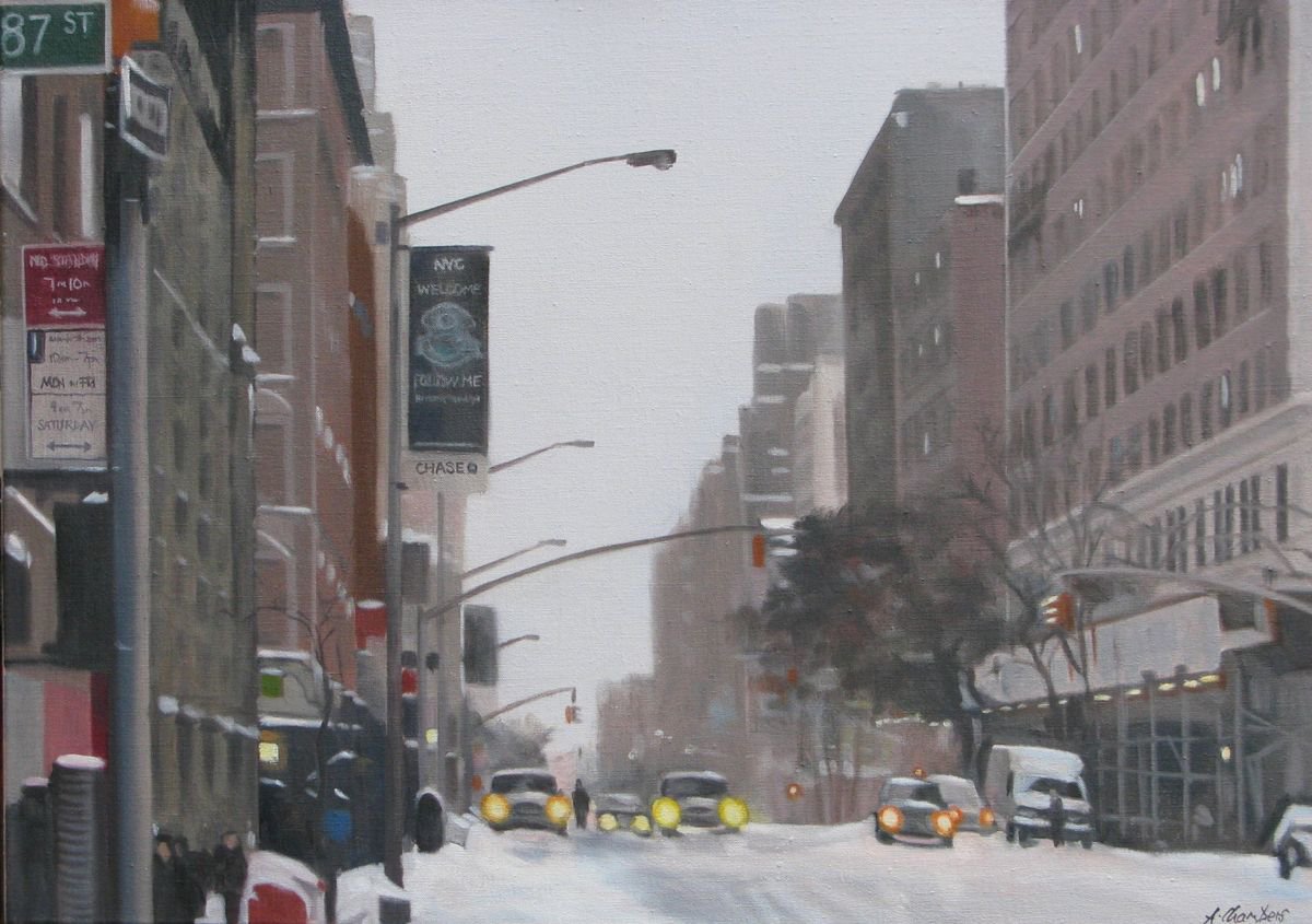 After The Snow: NYC by Alison Chambers