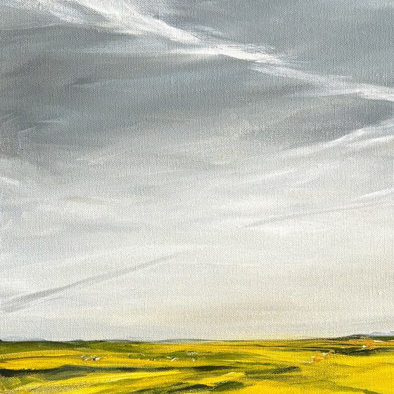 Summer Fields
