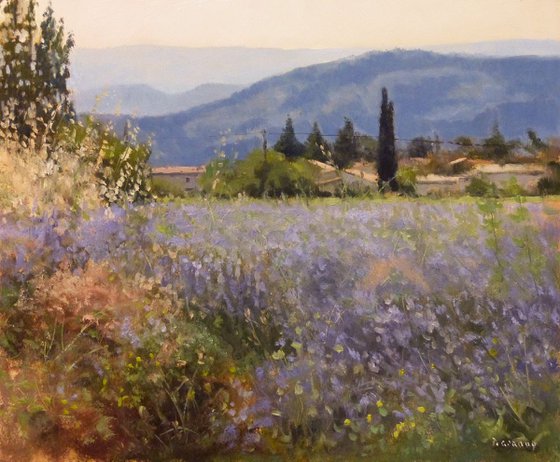 Lavender at Sisteron