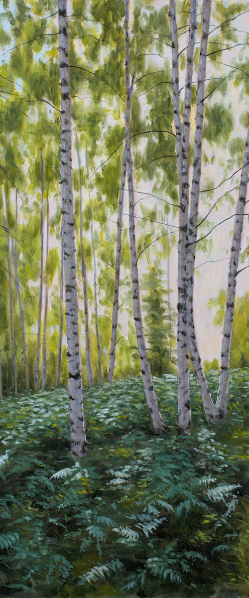 Ferns in a Birch Forest by Dejan Trajkovic
