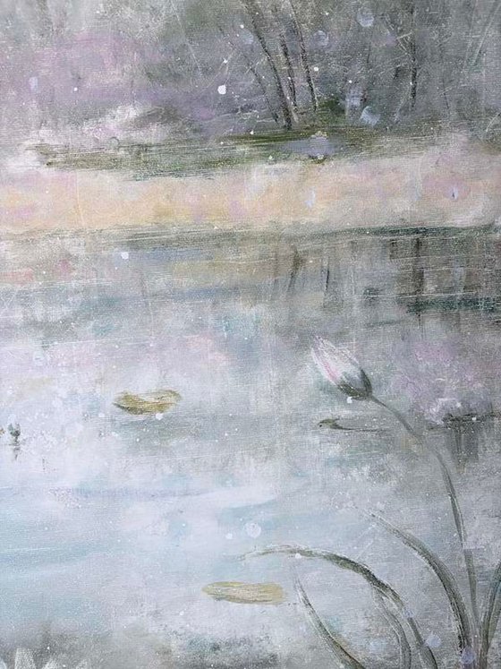 Water Lilies in Morning Mist