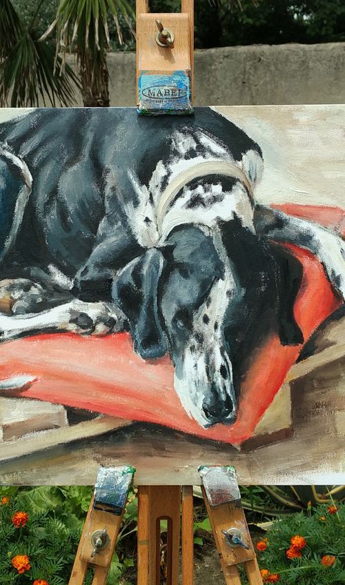 Siesta - sleeping dog during siesta time by Leonid Plekhanov