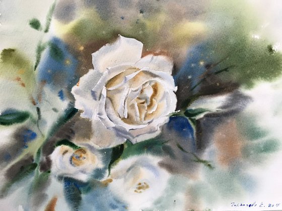 White roses