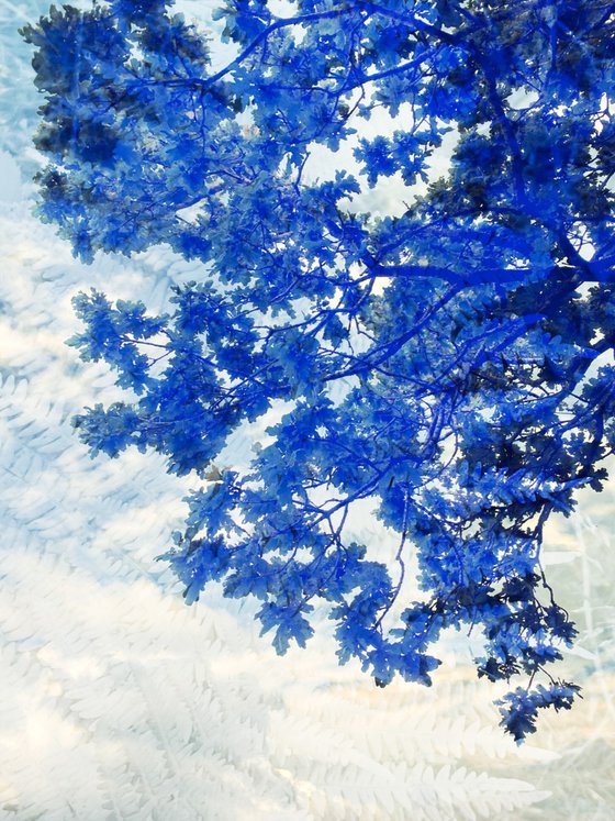 Summer sky - A3