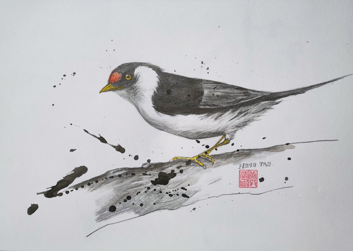 Drawing- Bird #20829 by Hongtao Huang