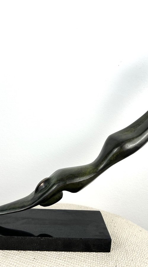 Diver - Fluid elegance by Toth Kristof