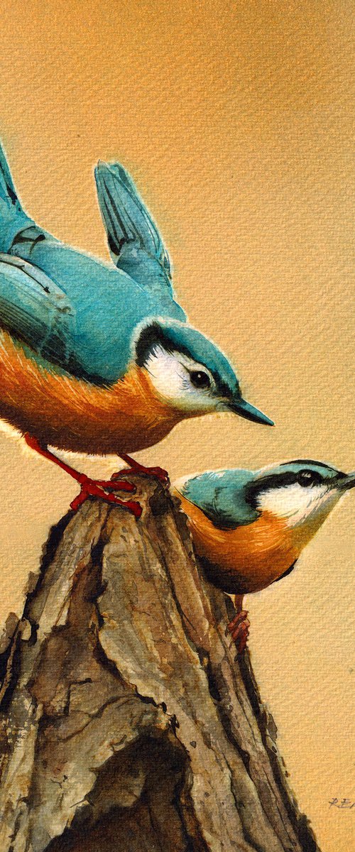 The Nuthatches by REME Jr.