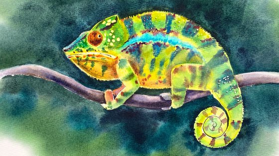 Colorful Chameleon