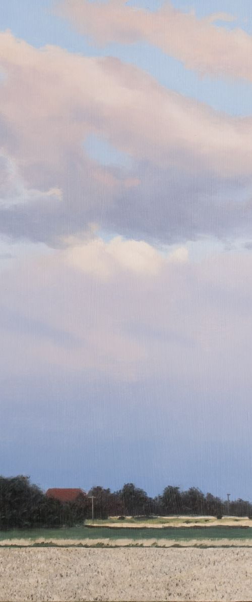 Summer Evening Landscape by Christopher Witchall