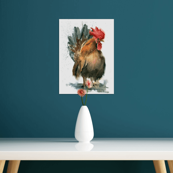 The beautiful Rooster
