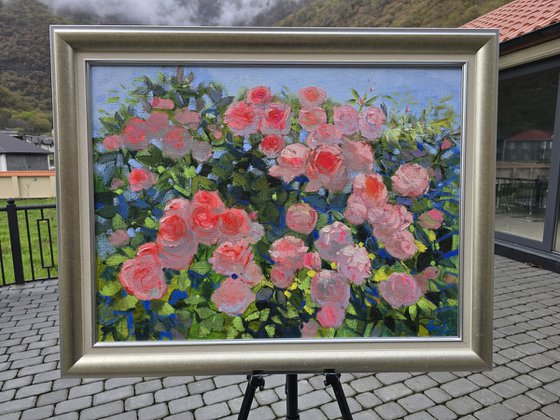 Roses in Bloom