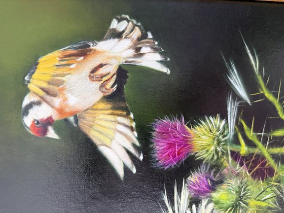 Birds and Thistle