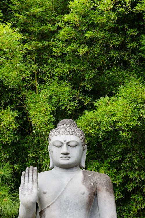 Buddha and Bamboo by Tom Hanslien