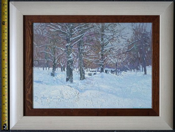 Boulevard in winter