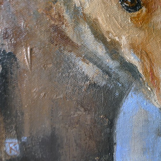 The Look of the Red Dog
