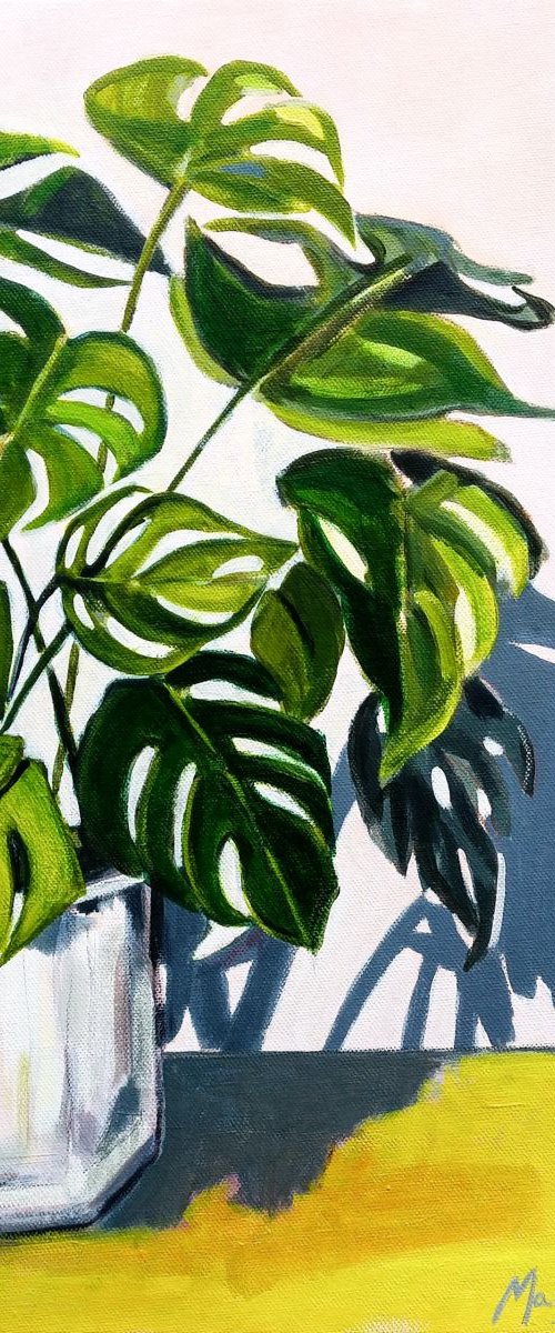 Shades of Green by Marisa Añón