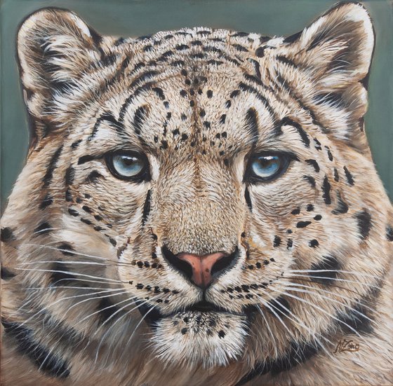 Eyes of the Snow Leopard