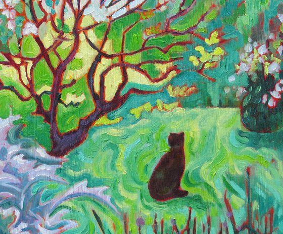 Black Cat , Garden Landscape