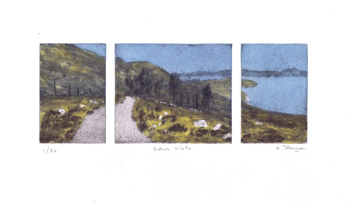 Bolus Vista by Aidan Flanagan Irish Landscapes