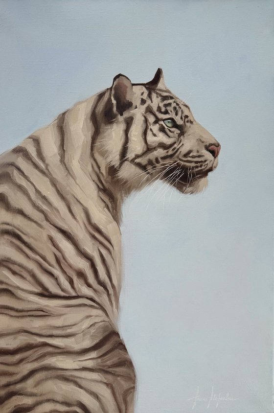 White tiger
