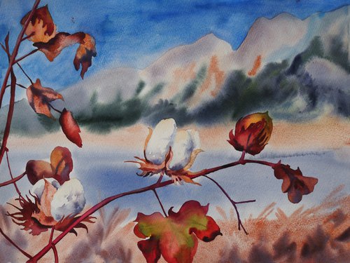 Cotton branch on the mountain / Bavovna by Delnara El