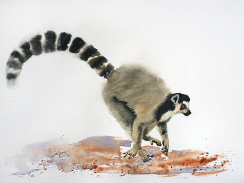 Lemur III - Animal portrait /  ORIGINAL PAINTING by Salana Art Gallery