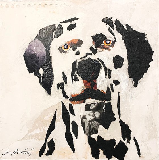 DALMATA