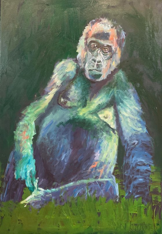 Gorilla