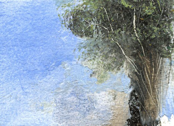 THE LOST POND