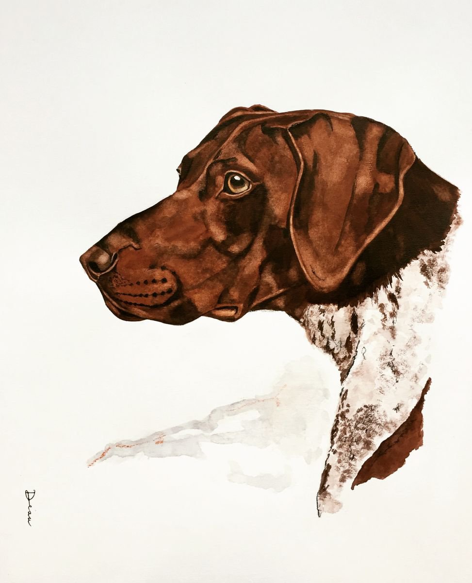 German Shorthaired Pointer .1 by Dominique Laurine