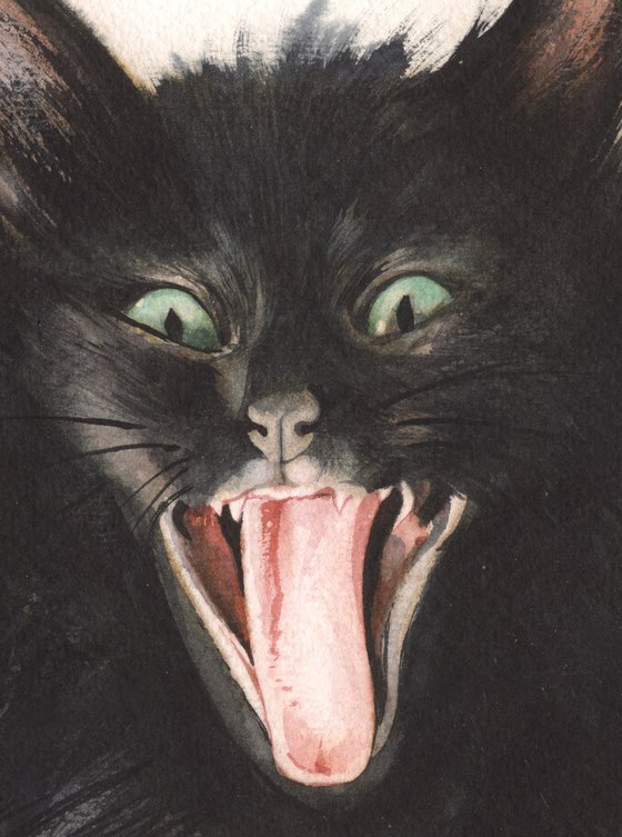 Funny Scary Black Kitten