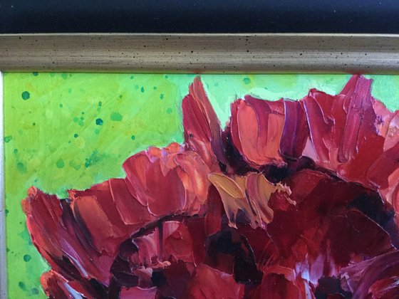 "Beauty of Livermere" Red Poppies