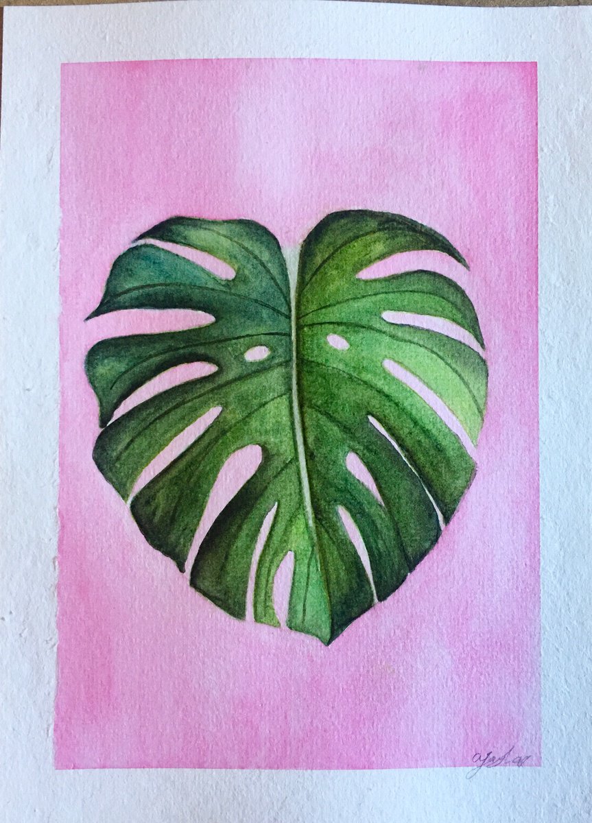 Monstera leaf painting by Amelia Taylor