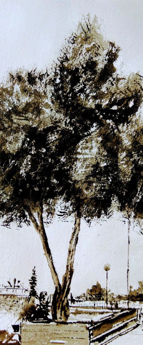 Young Olive Tree by Leonid Kirnus