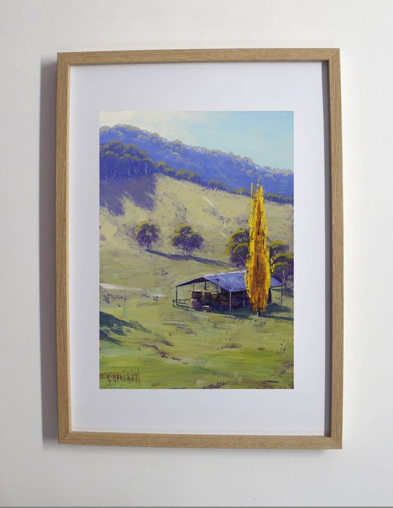 Tarana Valley Afternoon