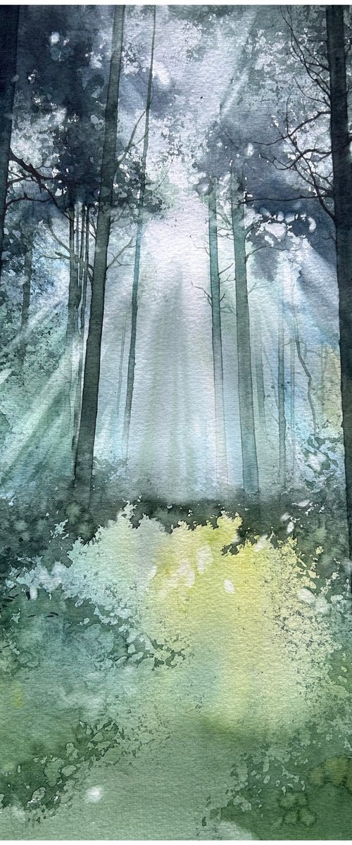 Silent Forest Light by Nazar Grunyka