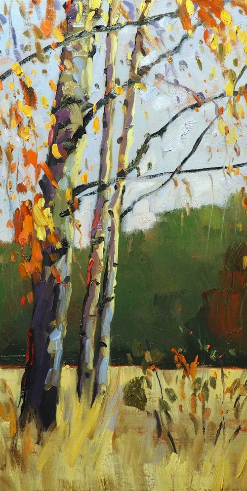 Autumn Landscape by Yuanyuan Liu